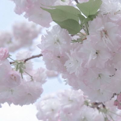 福山福瑞交流群